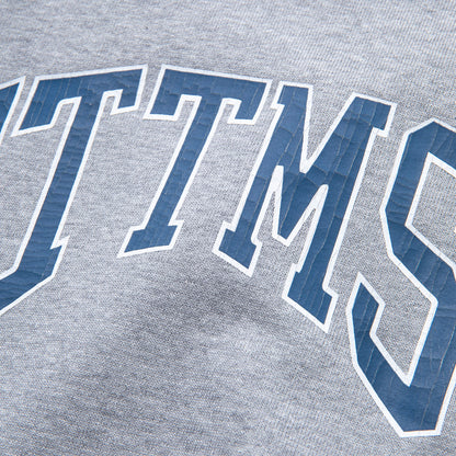 College logo crew neck sweat #GRAY [TTT-2024SS-CT05]