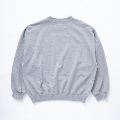 College logo crew neck sweat #GRAY [TTT-2024SS-CT05]
